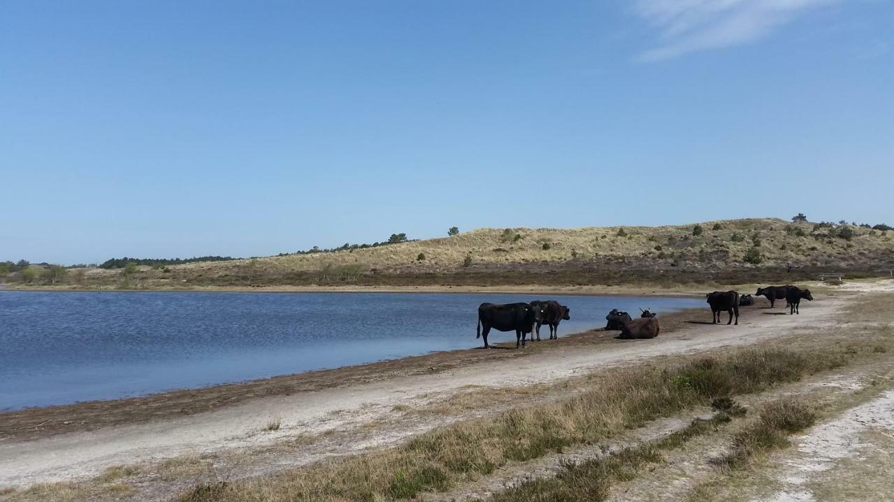 Vakantiehuis Duin Bos En Zee Схорл Экстерьер фото